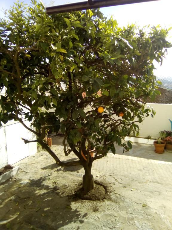 Estoril House Family Villa ภายนอก รูปภาพ
